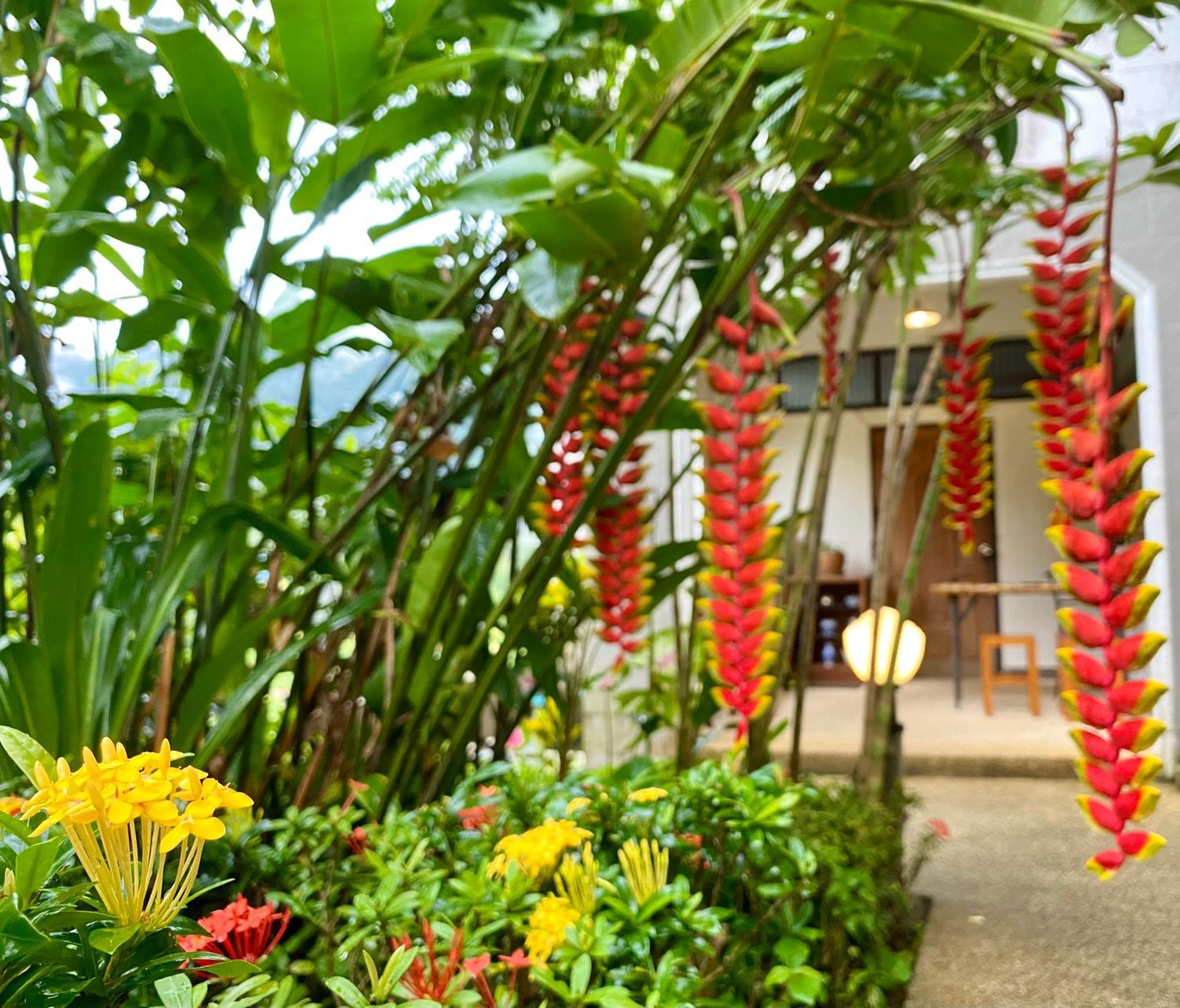 Guesthouse 88 Phang Nga Eksteriør bilde